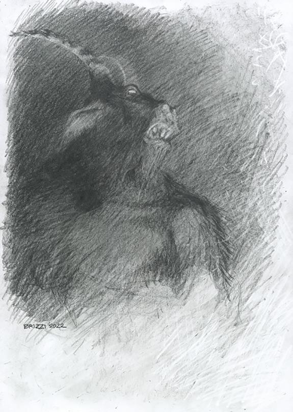 Paul & Ga&euml;tan Brizzi - L'Enfer de Dante, Illustration origin