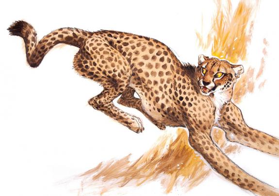 Frank P&eacute; - Gu&eacute;pard
Illustration originale r&eacute;alis&eacute;e pour le c