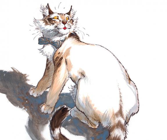 Frank P&eacute; - Chat
Illustration originale r&eacute;alis&eacute;e pour le cale