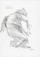 Manchu - Lot de neuf croquis de cr&eacute;atures : Kears, H&eacute;b&eacute;-ty, 