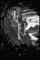 Nicolas Delort - Illustration intitul&eacute;e King Kong