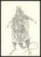 Armel Gaulme - Les Carnets Lovecraft, Les Rats dans les murs