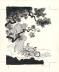 Cosey - Jonathan, Int&eacute;grale - T.15-16, Couverture originale 