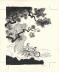 Cosey - Jonathan, Int&eacute;grale - T.15-16, Couverture originale 
