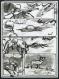 Jean-Marc Rochette - Le Loup, Planche originale n&deg; 25 accomp