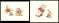 Peter de S&egrave;ve - The Duchess of Whimsy, Illustrations origina