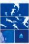Gaetan Nocq - Octopolis, Planches originales n&deg;194 et n&deg;195