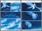 Gaetan Nocq - Octopolis, Planches originales n&deg;100 et n&deg;101