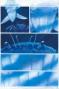 Gaetan Nocq - Octopolis, Planches originales n&deg;100 et n&deg;101