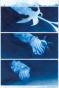 Gaetan Nocq - Octopolis, Planches originales n&deg;100 et n&deg;101