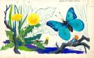 Will - Antoine et l'anneau magique, Illustration originale n