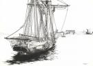 Franck Bonnet - Pirates de Barataria (Les), illustration ori
