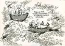 Nicolas Poupon - Le Cri de l'autruche, Illustration original