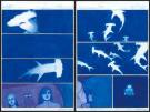 Gaetan Nocq - Octopolis, Planches originales n&deg;194 et n&deg;195